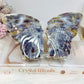 Colourful Agate Carved Butterfly Wings 12.5cm On Stand