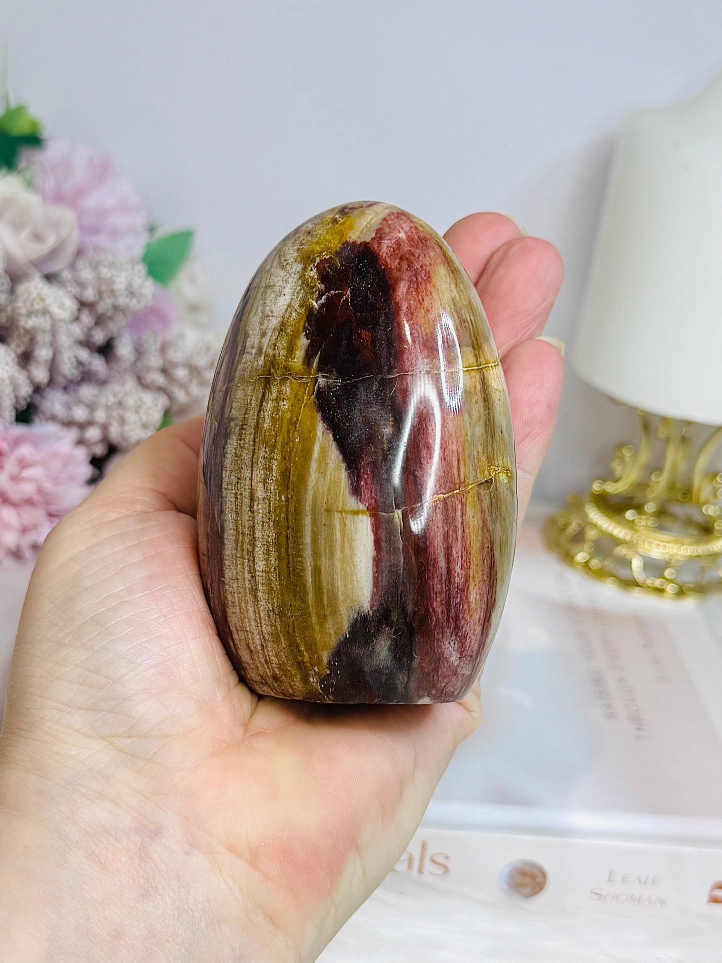 Petrified Wood Freeform 8.5cm 363g