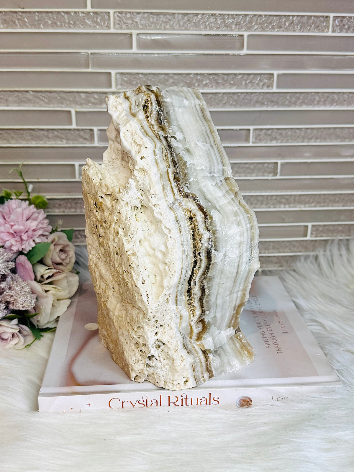 Huge Natural Aragonite Freeform | Slab 20cm Tall 2.87KG
