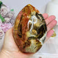 Large Petrified Wood Freeform 11.5cm 710g