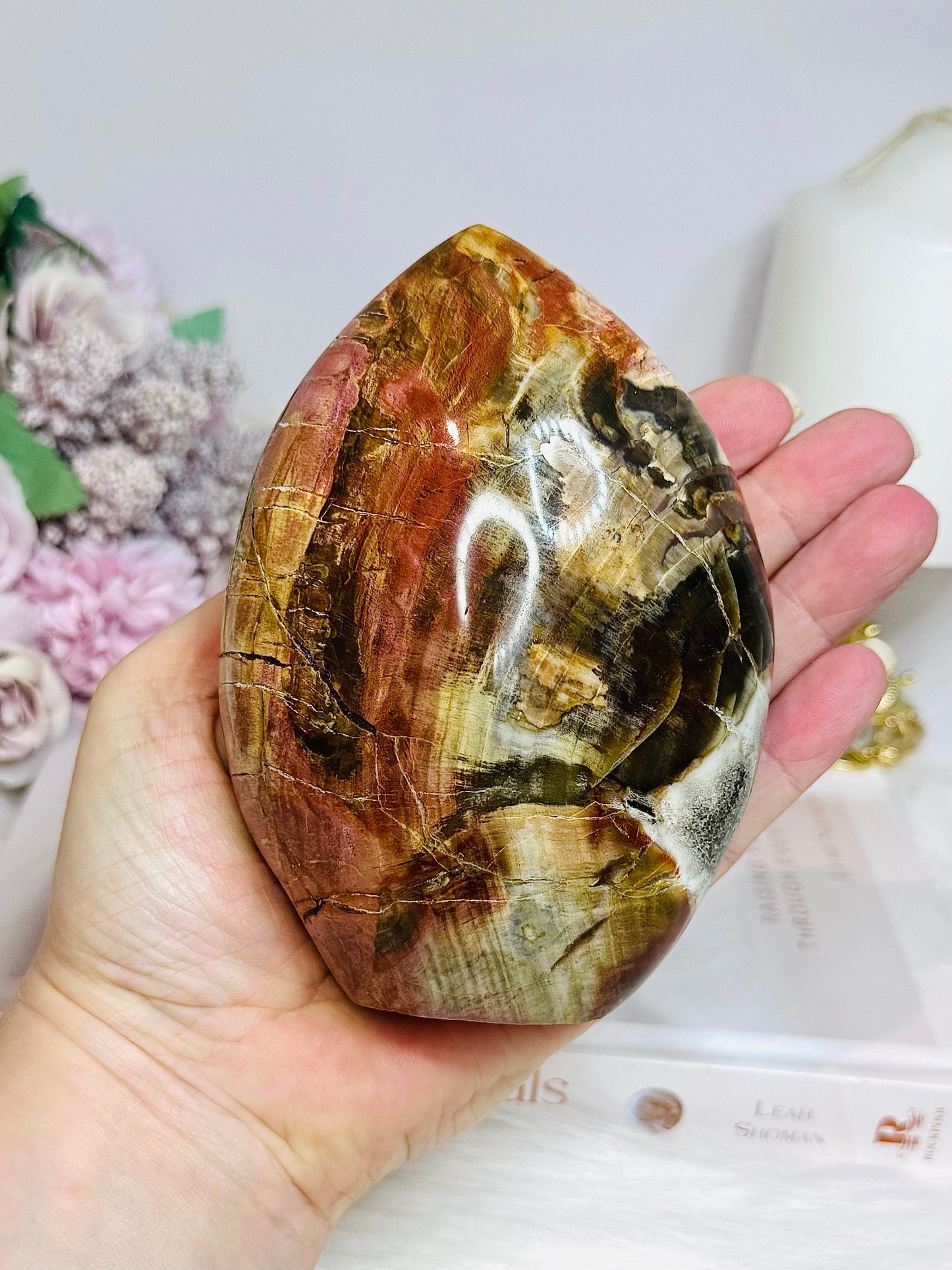 Large Petrified Wood Freeform 11.5cm 710g