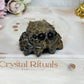 Ocean Jasper Spider Carving 5cm
