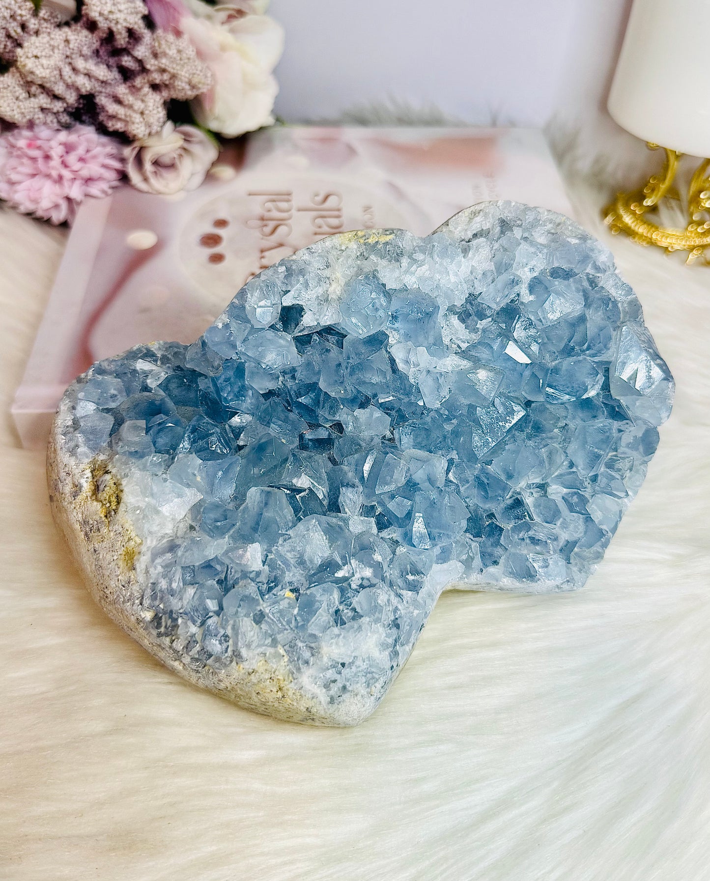 Huge Blue Celestite Cluster Double Heart 17cm 3KG