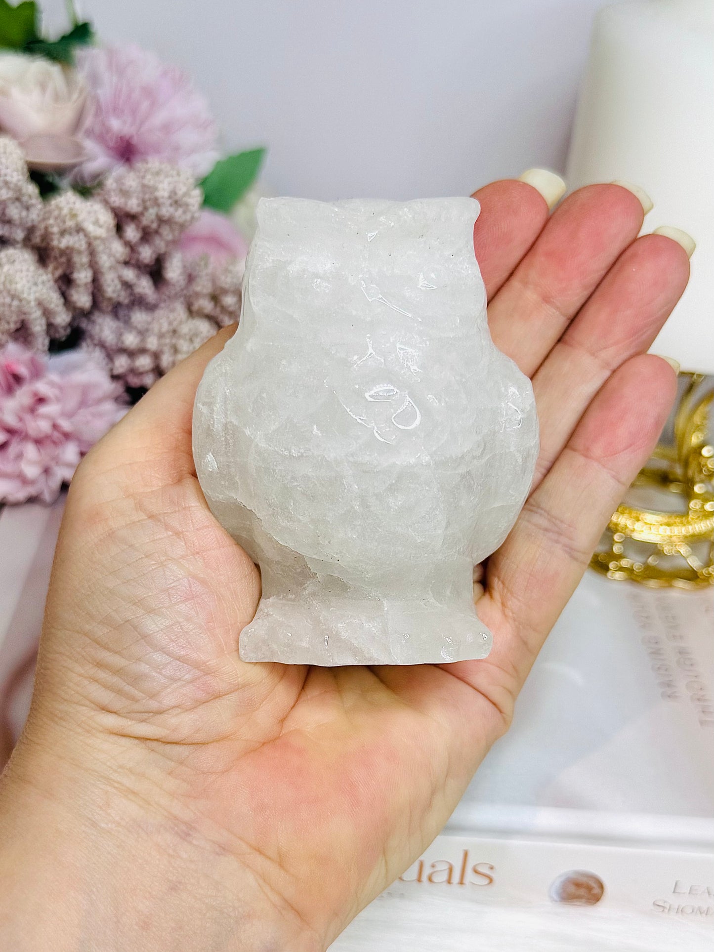 Clear Quartz Carved Owl 8cm 312g