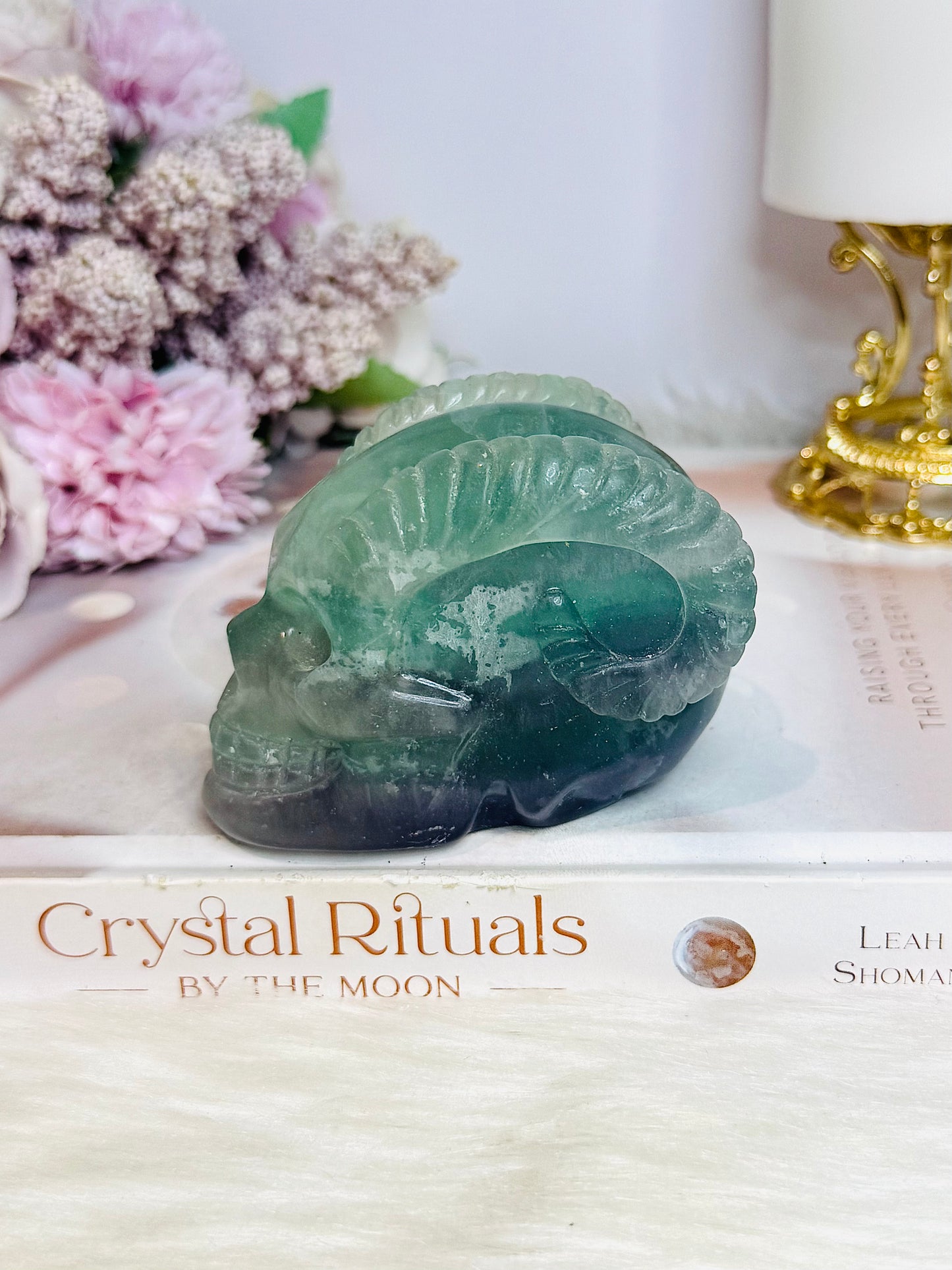 Fluorite Skull with Ram Horns 7.5cm 415g
