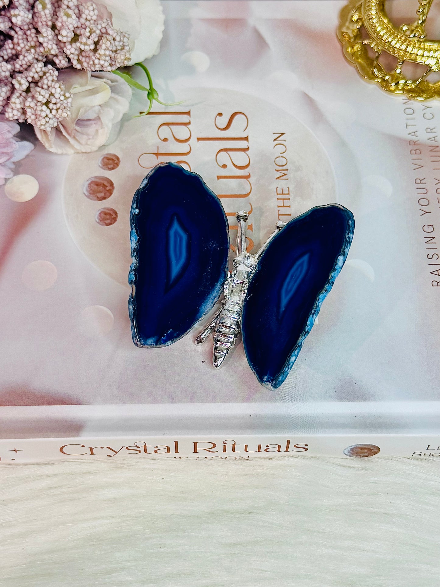 Beautiful Blue (dyed) & Silver Agate Butterfly