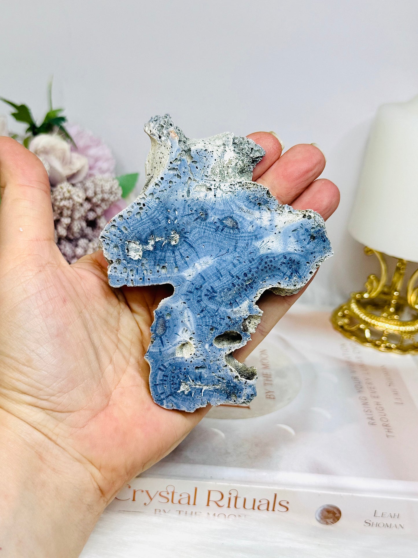Blue Coral Fossil Specimen Slab on Stand 10.5cm