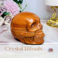 Large Jasper Carved Skull 404g