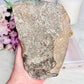 Stunning Large Chunky 1.16KG 13cm Amethyst Natural Cluster From Brazil