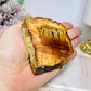 Natural Petrified Wood Slab 7.5cm 145g