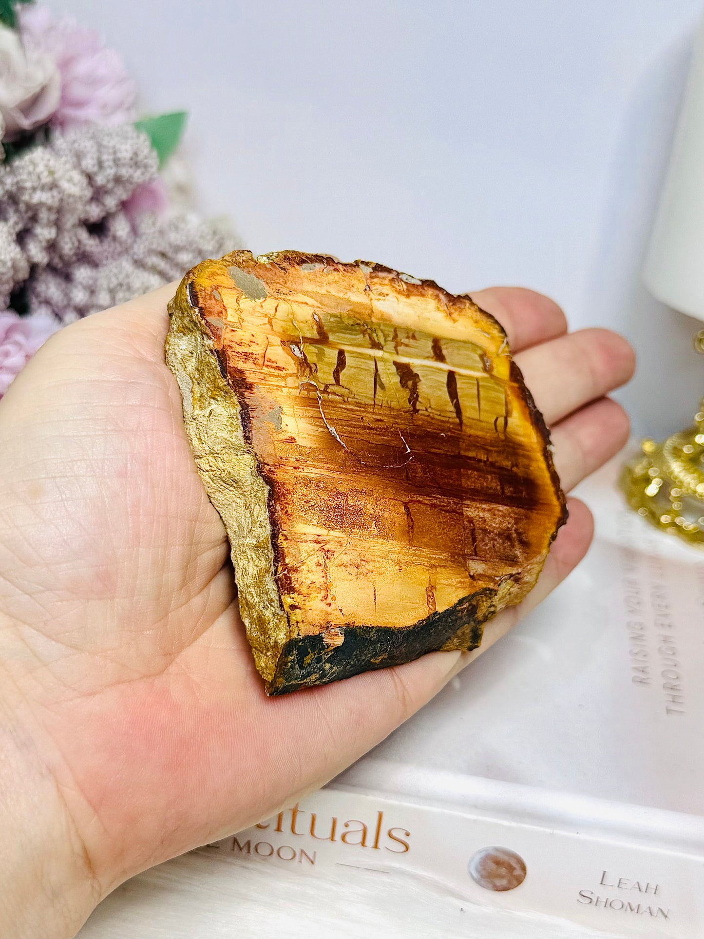 Natural Petrified Wood Slab 7.5cm 145g