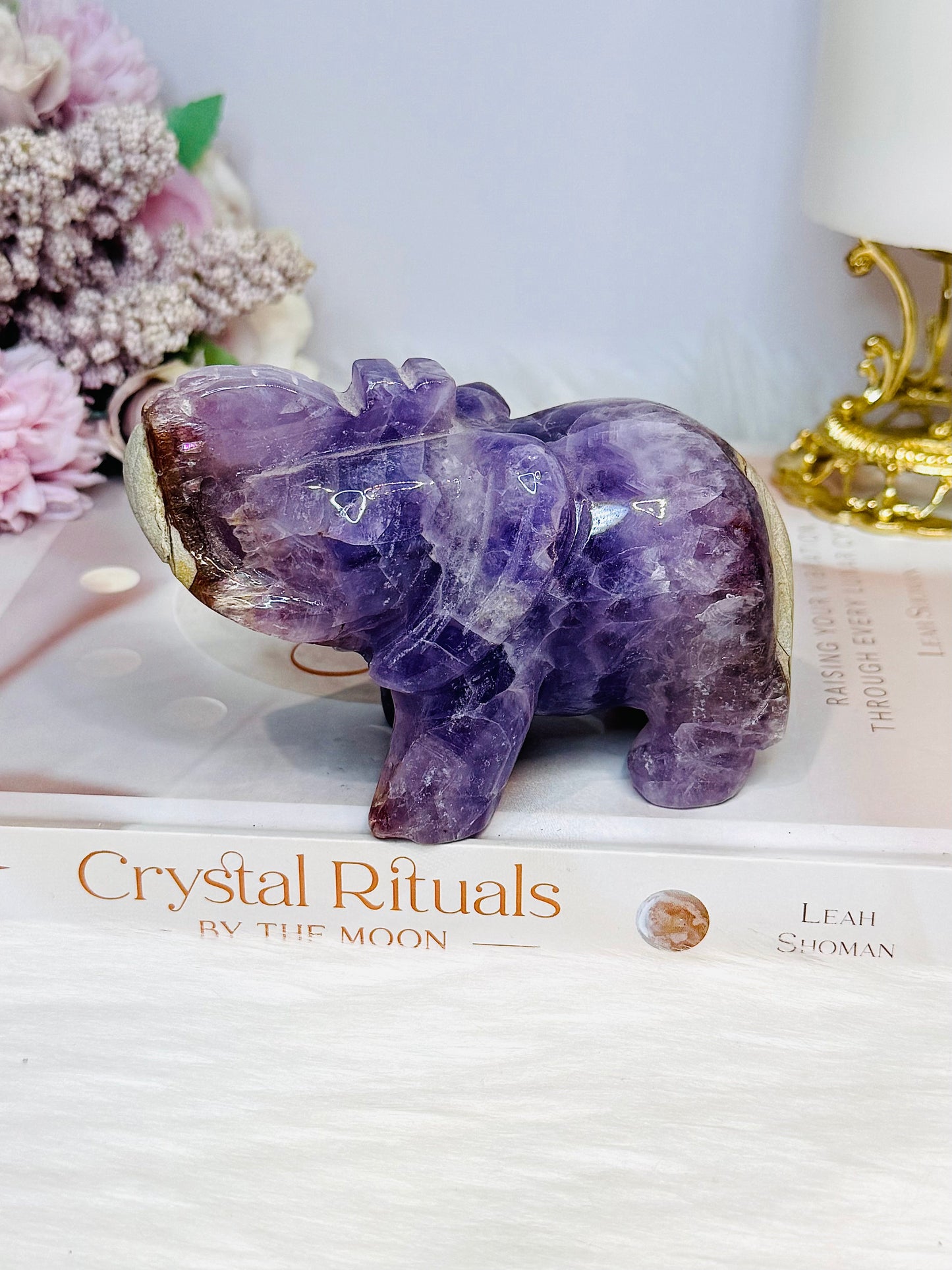 Amethyst X Mexican Lace Agate Elephant 11cm 410g