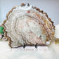 Huge Chevron Amethyst Slab | Slice On Stand 30cm 1.48KG On Stand