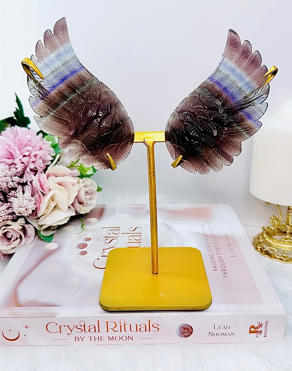 Stunning 18cm (Inc Stand) Gorgeous Fluorite Wings On Gold Stand ~ Absolutely Amazing Set