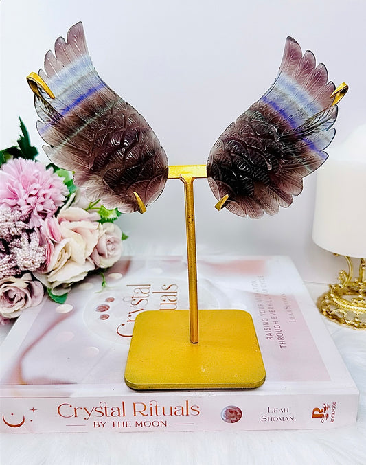 Stunning 18cm (Inc Stand) Gorgeous Fluorite Wings On Gold Stand ~ Absolutely Amazing Set