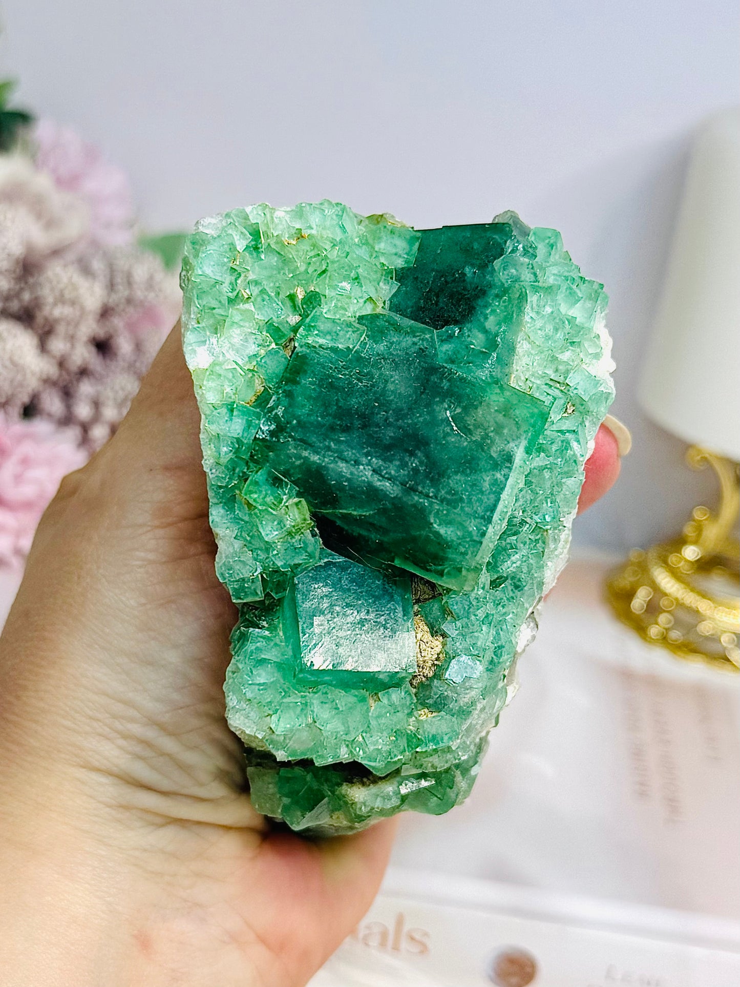 Natural Green Cubed Fluorite Specimen 505g