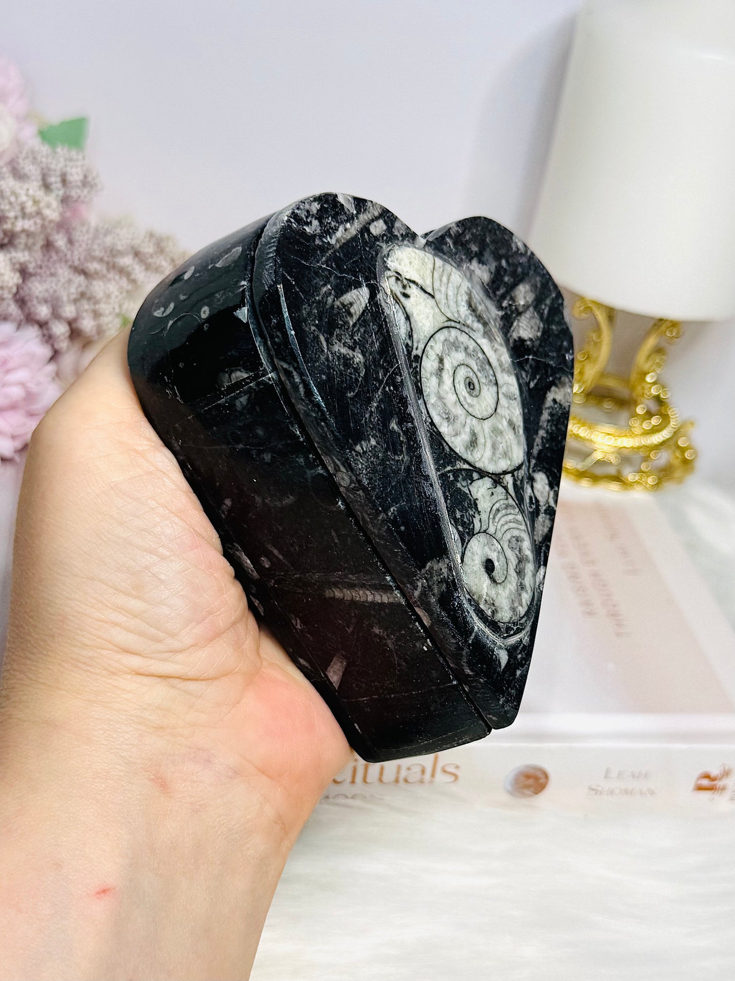 Ancient Fossil Orthoceras Heart Ammonite Jewellery Box 10cm 401g
