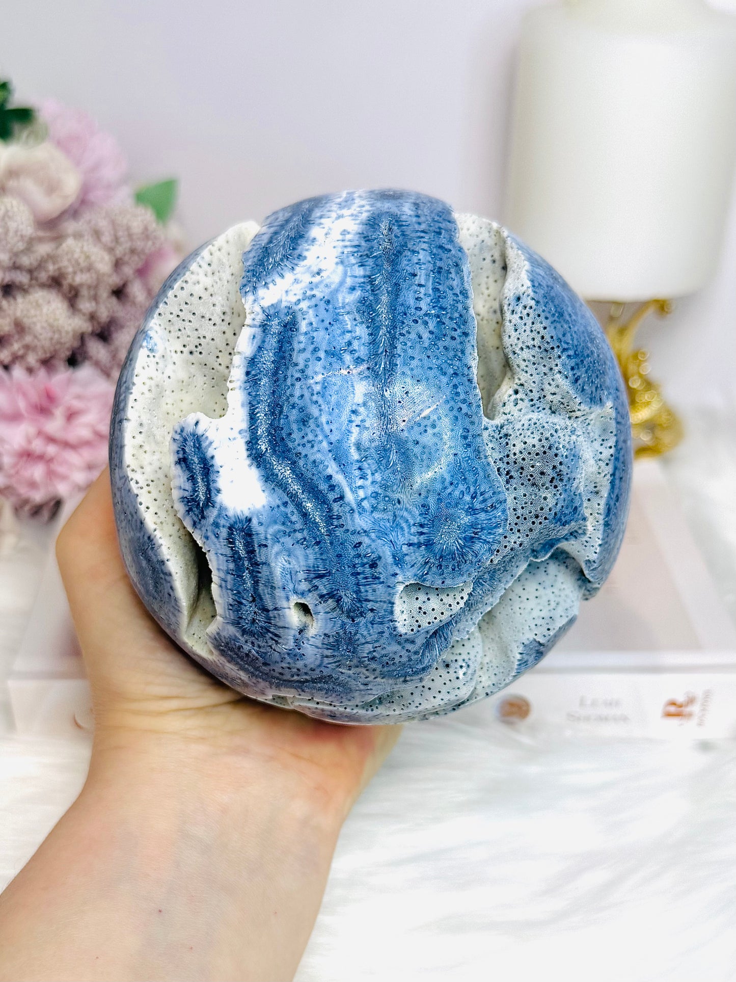 Huge Natural Blue Coral Fossil 1.27KG