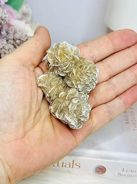 Natural Desert Rose Specimen 7cm