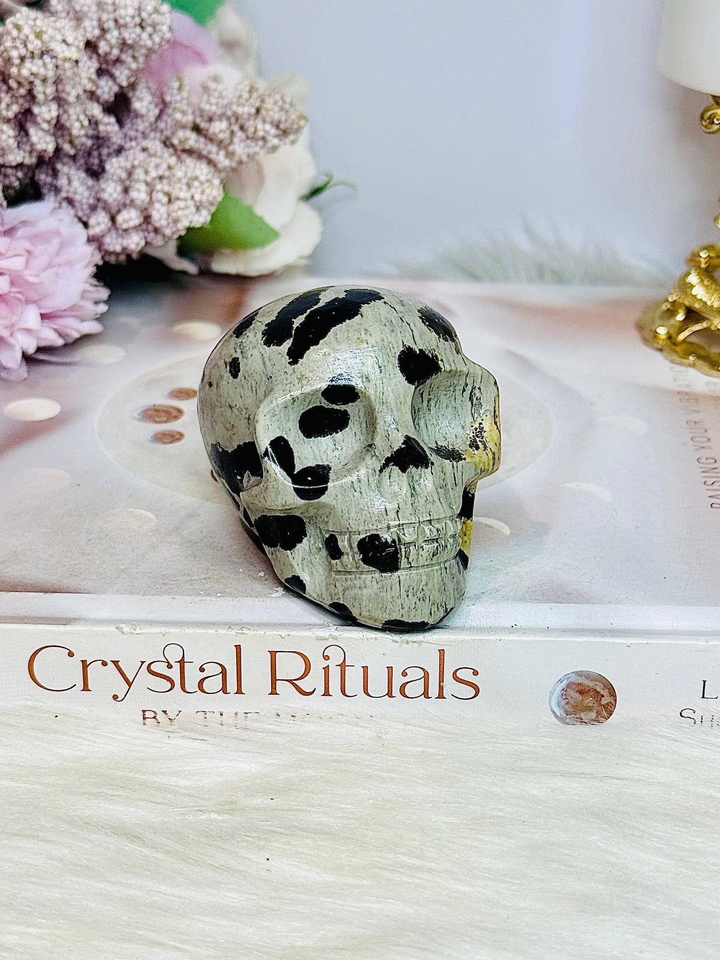 Picture Jasper Carved Skull 6.5cm 205g