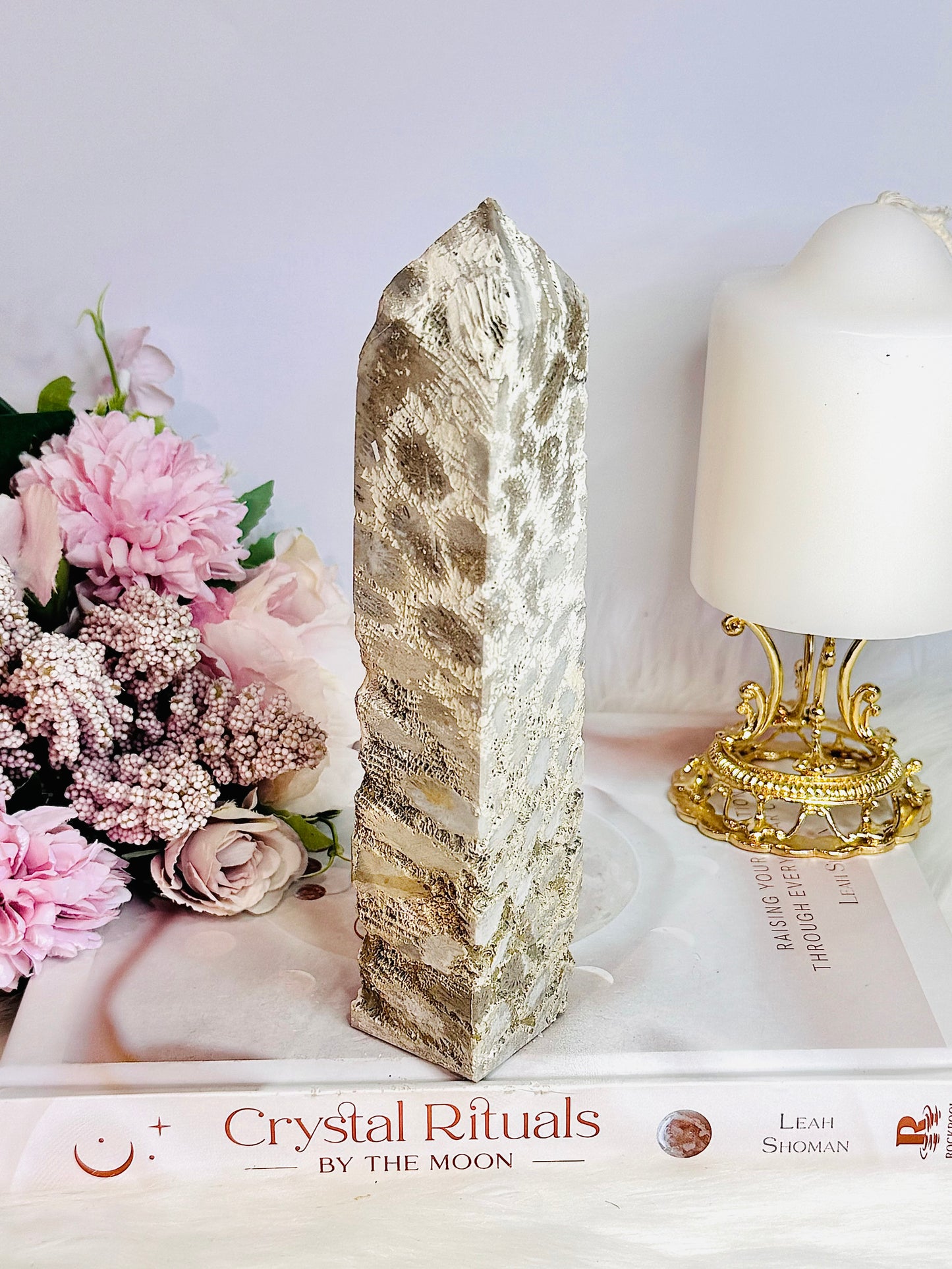 Natural Large Fossil Coral Tower 17.5cm