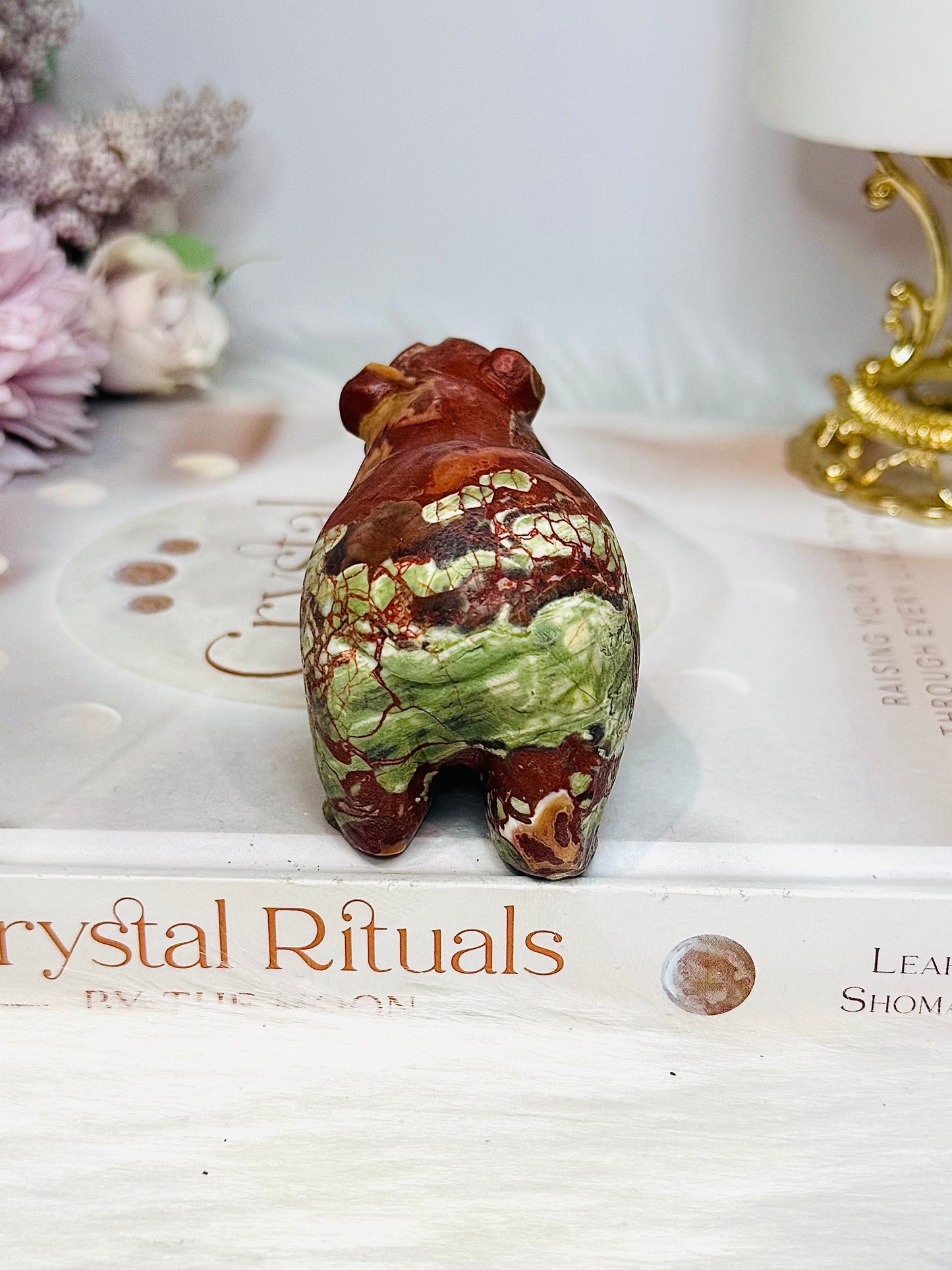 Money Agate Carved Bear 8cm