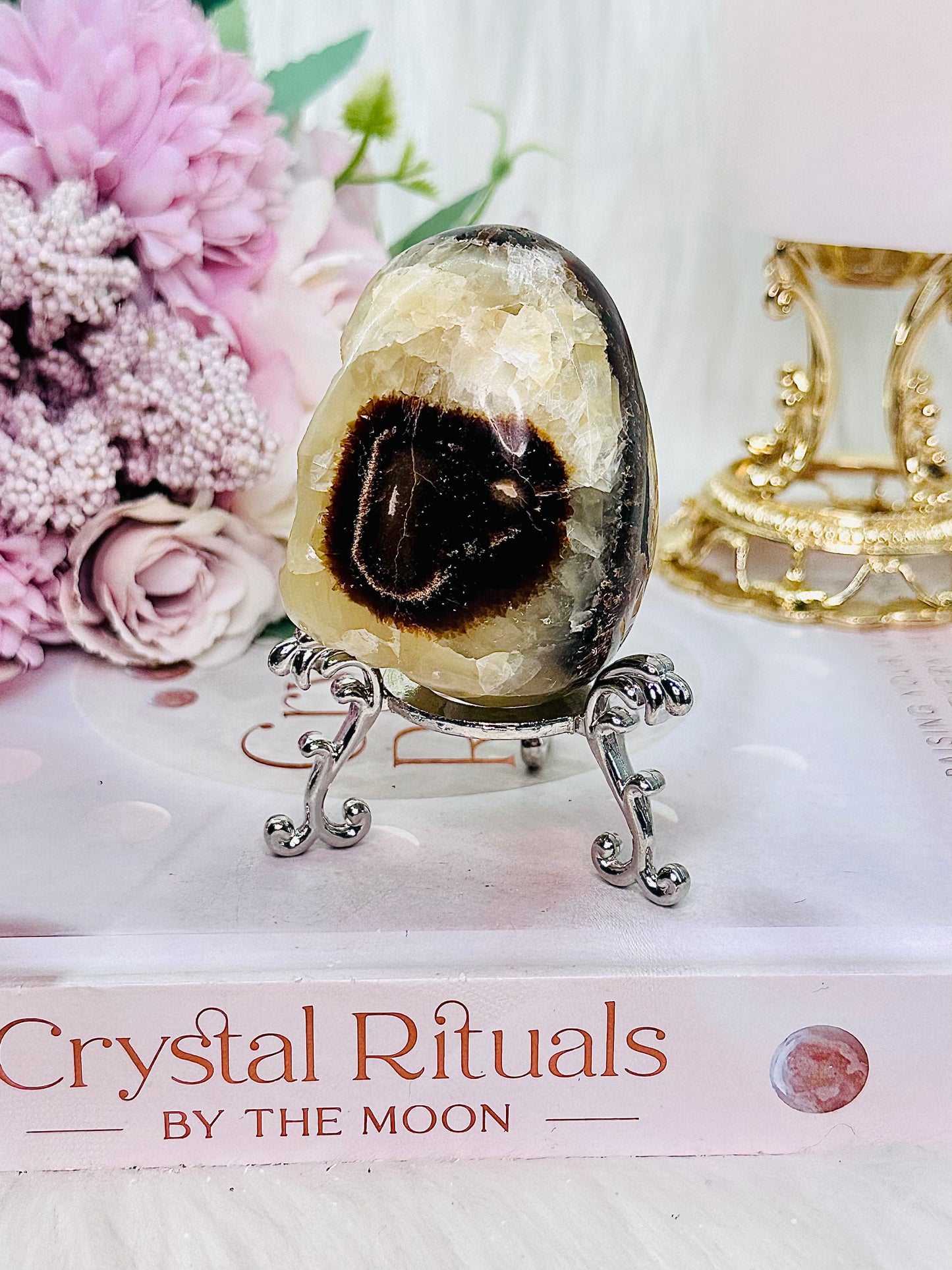 Gorgeous Druzy Septarian Egg On Stand