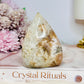 Flower Agate Flame | Freeform 9cm