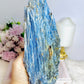 Huge Natural Blue Kyanite Specimen 21cm 1.56KG