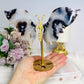 Black Flower Agate Butterfly Wings on Stand 15cm