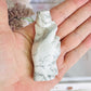 Supports Anxiety & Depression ~ Perfectly Carved Howlite Hand Holding A Rose