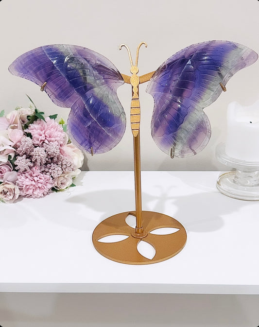 Absolutely Incredible Stunning Large 25cm Chunky Purple & Green Fluorite Butterfly Wings on Gold Stand