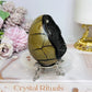 Druzy Septarian Egg on Stand 344g