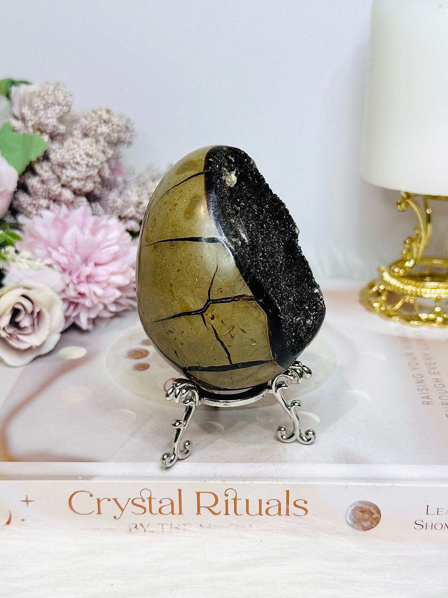 Druzy Septarian Egg on Stand 344g