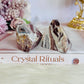 Stunning Natural Set of 2 Polished Mexican Lace Agate Freeforms