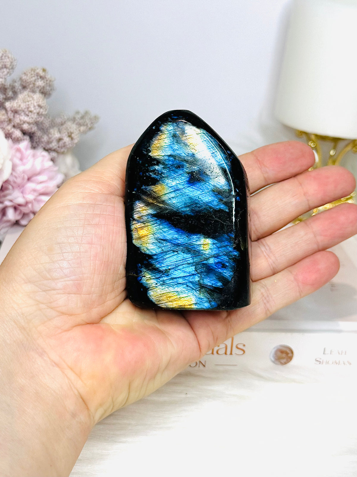 Labradorite Freeform 252g