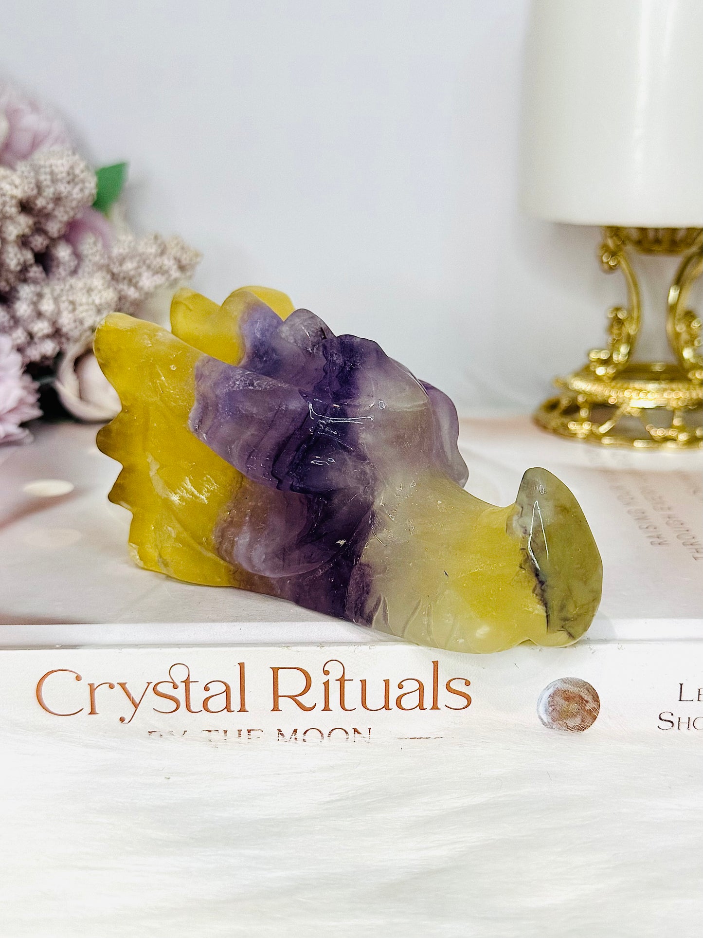 Fluorite Carved Dragon 10.5cm