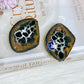 Septarian Nodule Pair Set