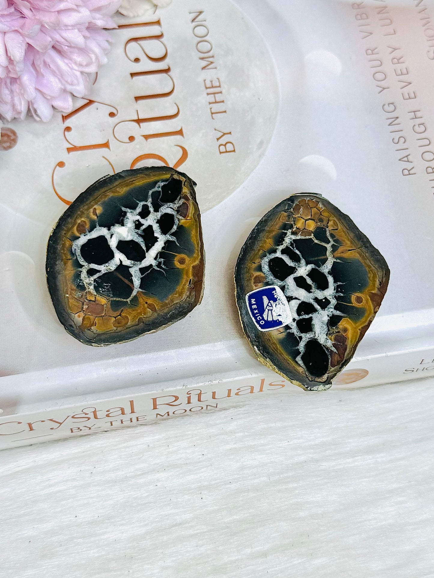Septarian Nodule Pair Set