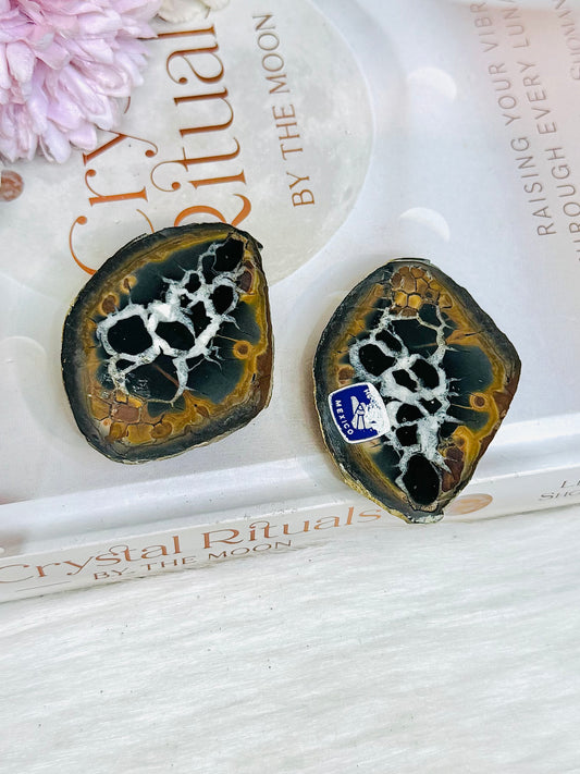 Septarian Nodule Pair Set