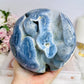 Huge Rare Natural Blue Coral Fossil Sphere 2.16KG