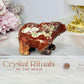 Money Agate Polar Bear Carving 8cm