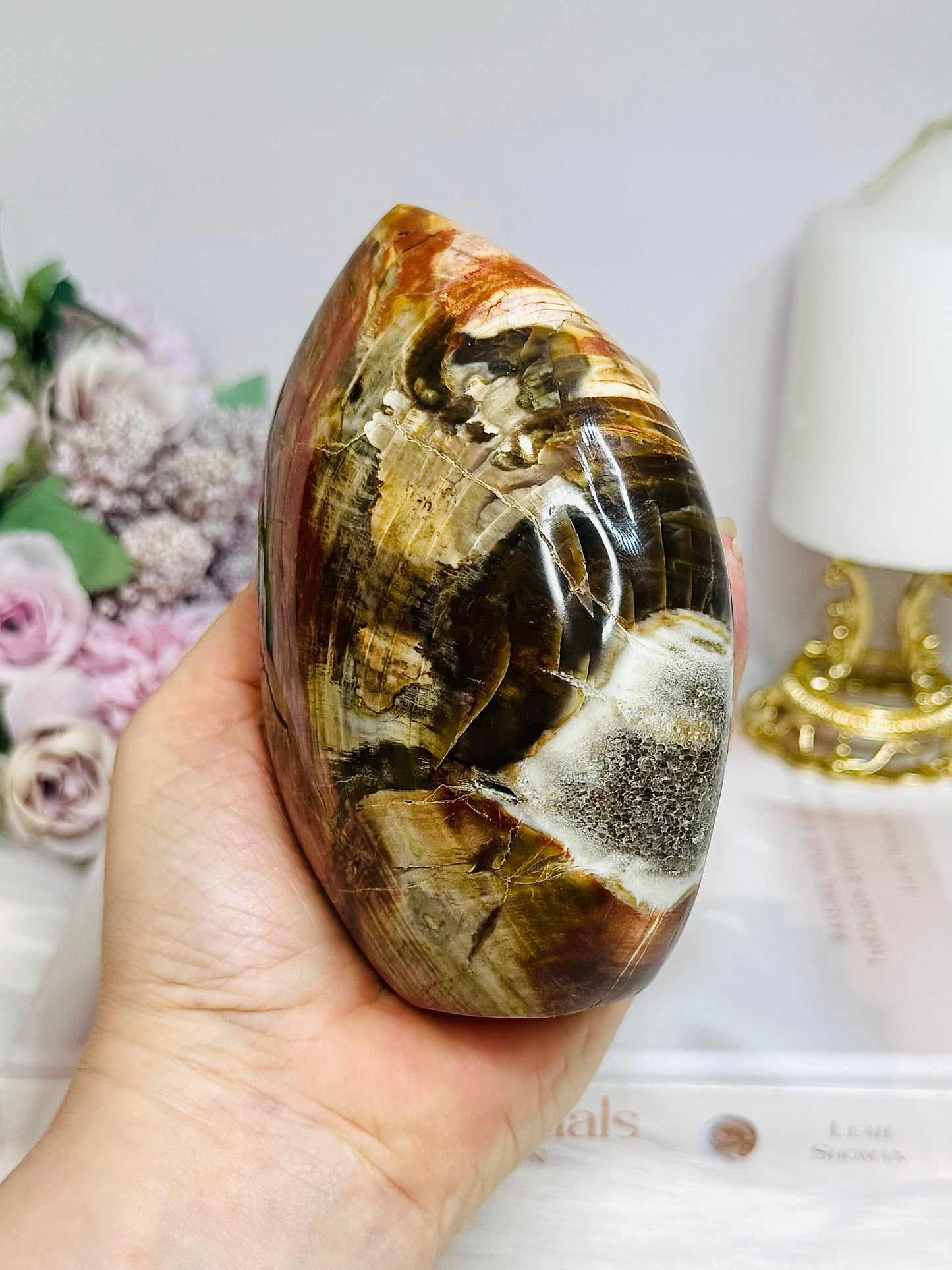 Large Petrified Wood Freeform 11.5cm 710g