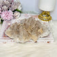 Large Natural Quartz Specimen 18cm 822g