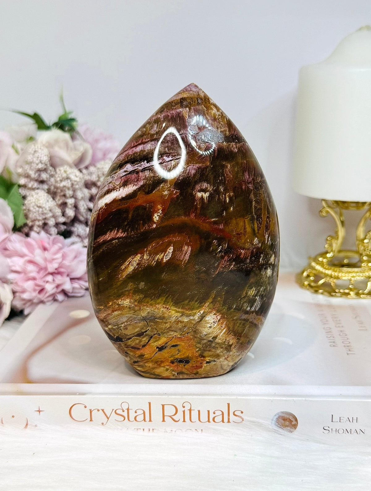 Large Petrified Wood Freeform 13cm 720g