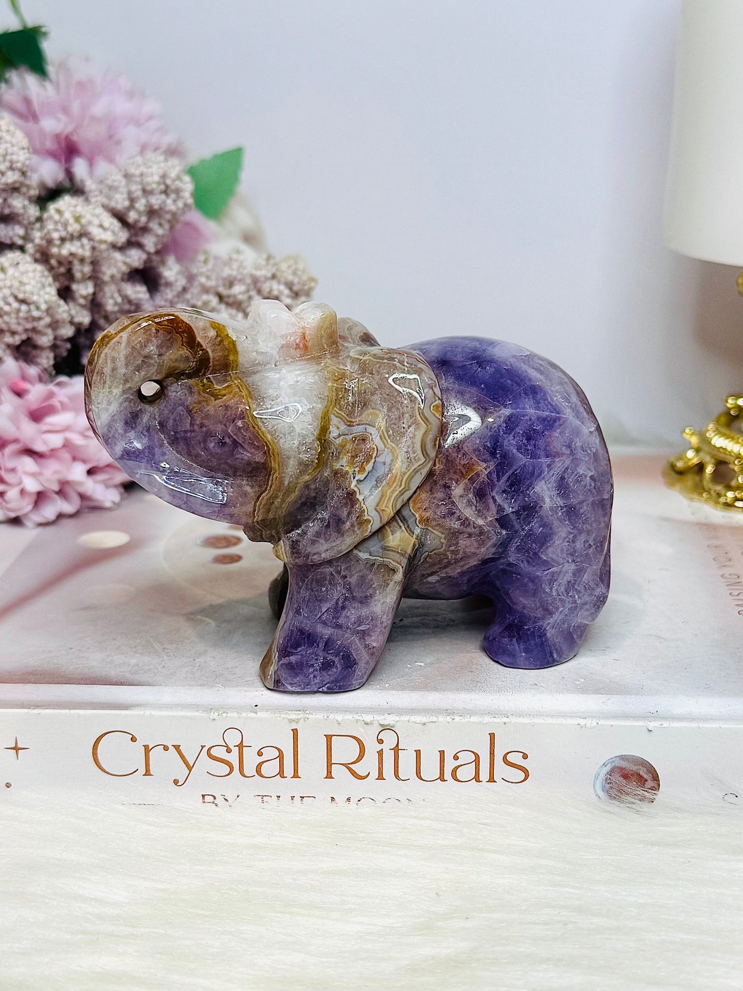 Amethyst X Mexican Lace Agate Elephant 11cm 408g