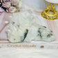 High Grade Clear Quartz Natural Cluster with Pyrite Inclusions 14.5cm 446g