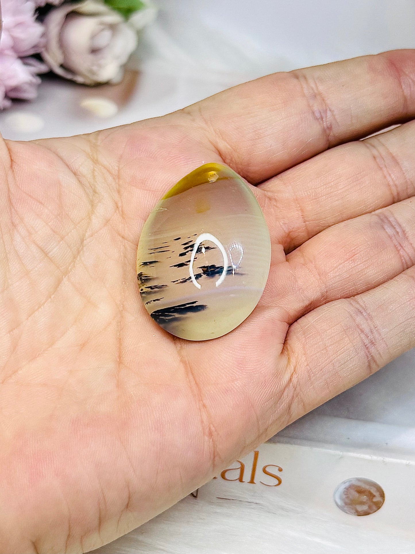 Dentrictic Agate Cabochon (stand is display only)