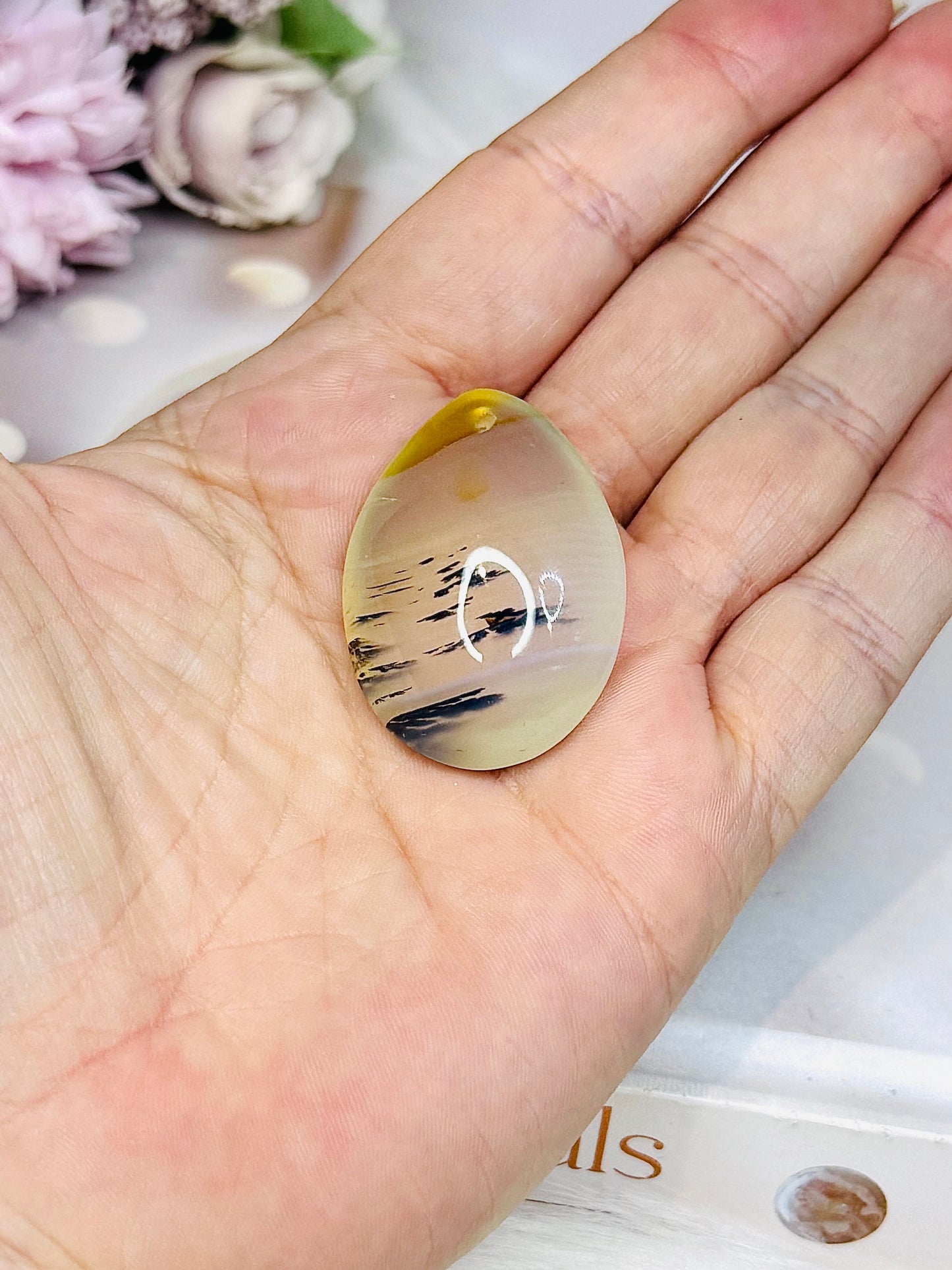 Dentrictic Agate Cabochon (stand is display only)