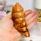 Chunky Large Orange Jasper Snail 11.5cm 296g